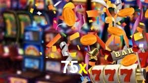 Premium Interface 75x